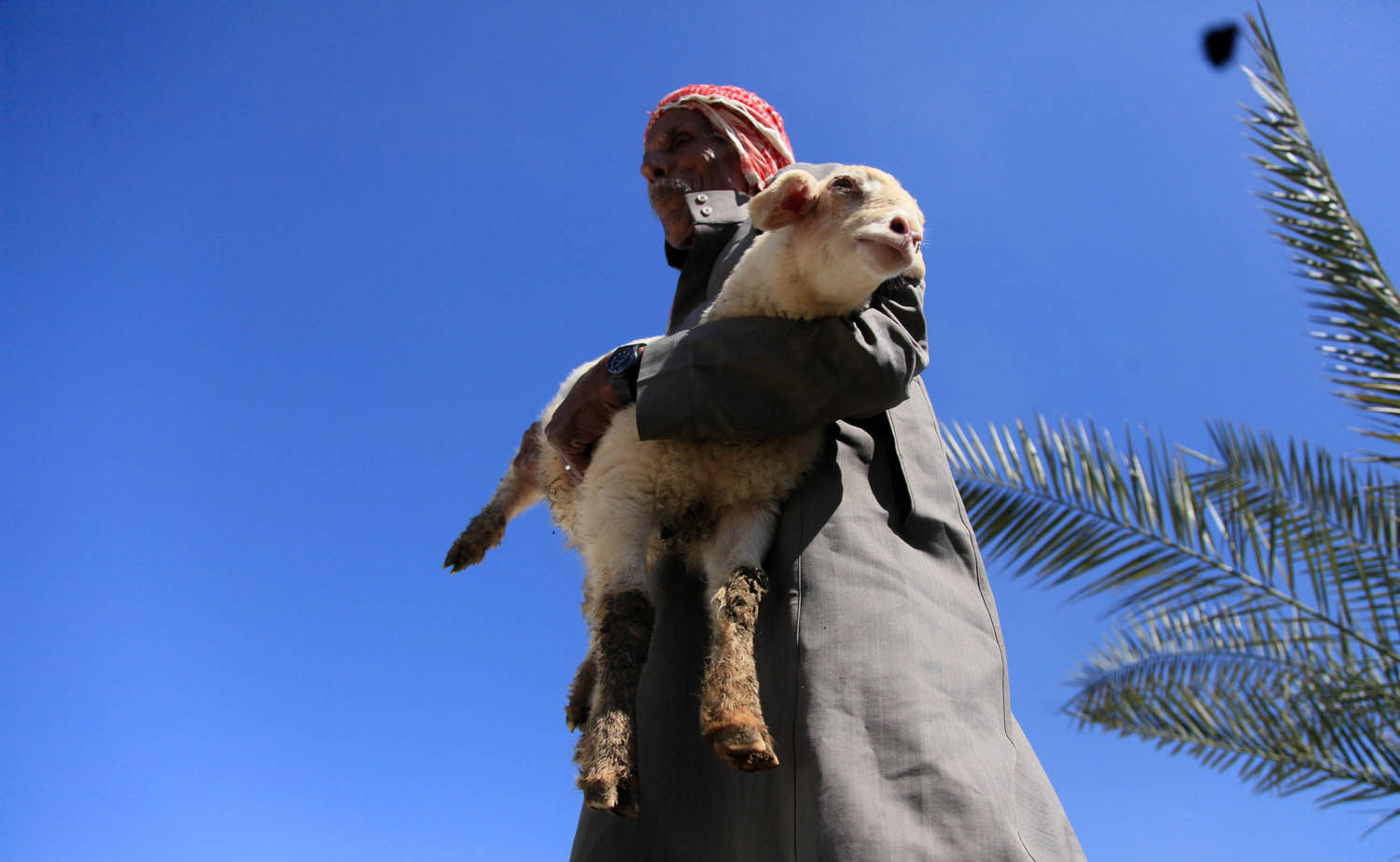 صور رائعة للحياة البدائية في غزة